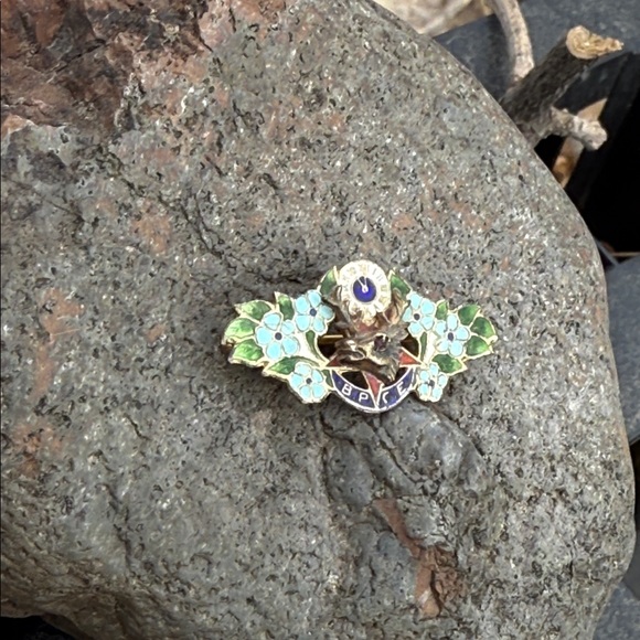 Antique Elks Lodge BPOE (Benevolent and Protective Order of Elks) lapel pin - Picture 2 of 5